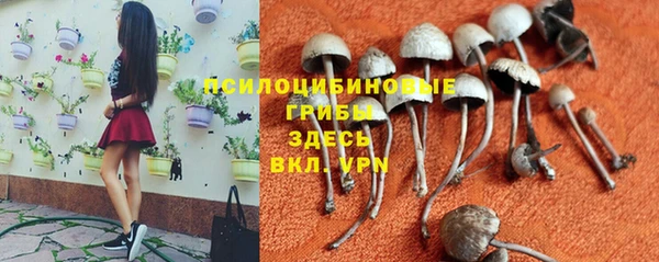 герыч Струнино